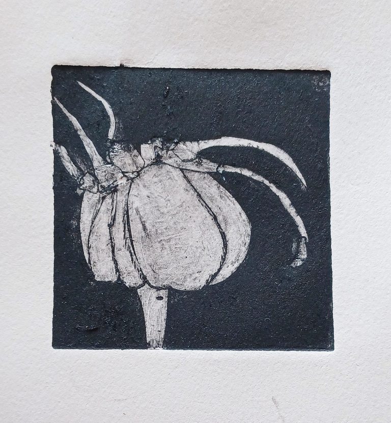 Rozenbottel grafiek in natuurlijke tinten